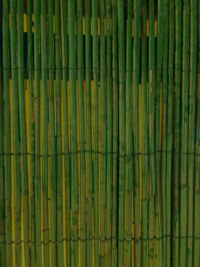 Close-up view of a green bamboo fence, showcasing natural patterns and vibrant textures, ideal for backgrounds.