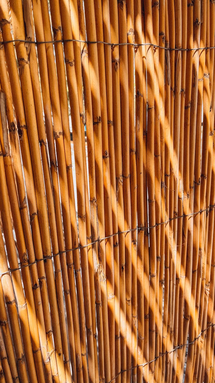 Close-up of a bamboo screen with sunlight casting intricate shadow patterns.
